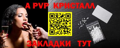 гашик Будённовск