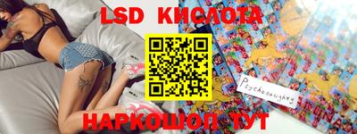 гашик Будённовск