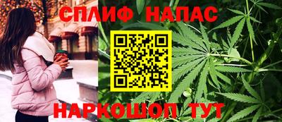 гашик Будённовск