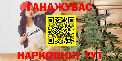 гашик Будённовск
