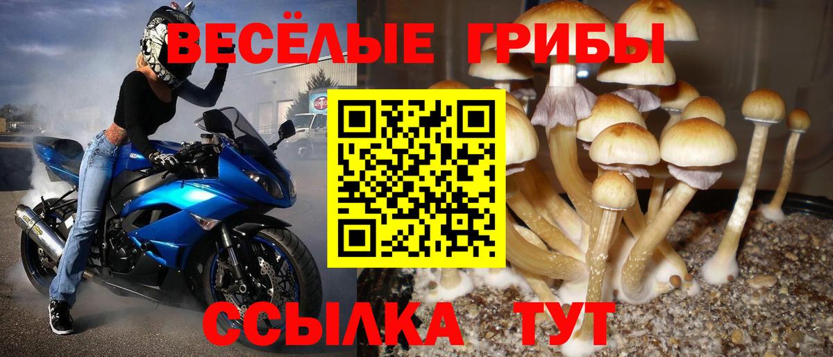 Новочебоксарск  Псилоцибиновые грибы GOLDEN TEACHER  Вход с VPN 